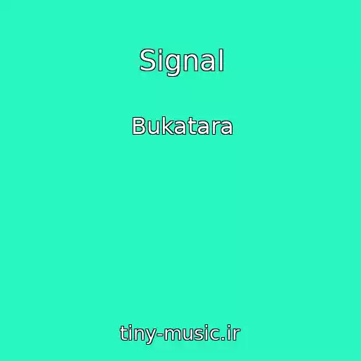 کاور آهنگ Signal از Bukatara