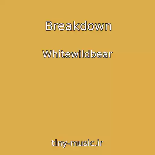 کاور آهنگ Breakdown از Whitewildbear