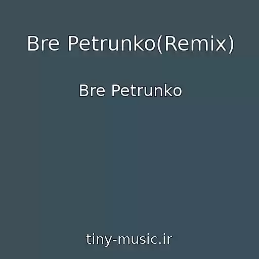 کاور آهنگ Bre Petrunko(Remix) از Bre Petrunko