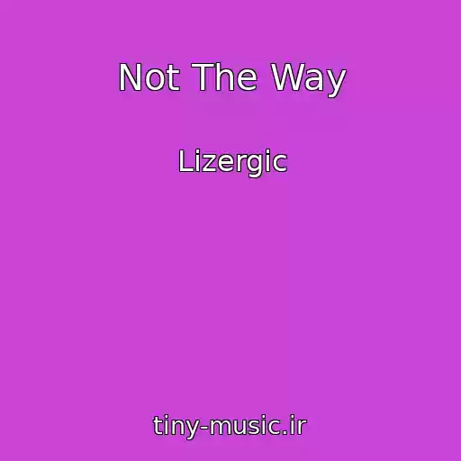 کاور آهنگ Not The Way از Lizergic