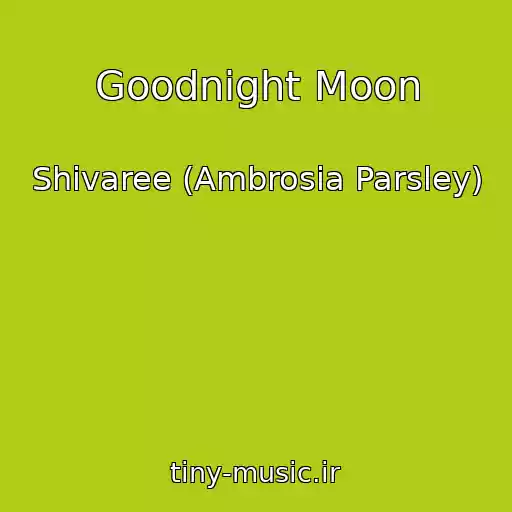 کاور آهنگ Goodnight Moon از Shivaree (Ambrosia Parsley)