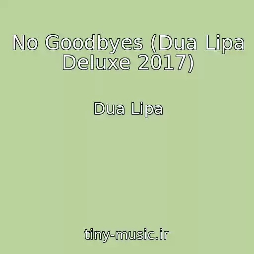 کاور آهنگ No Goodbyes (Dua Lipa Deluxe 2017) از Dua Lipa