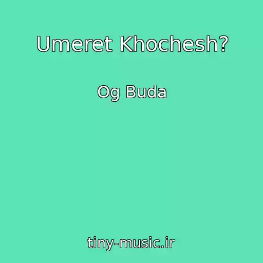 کاور آهنگ Umeret Khochesh? از Og Buda