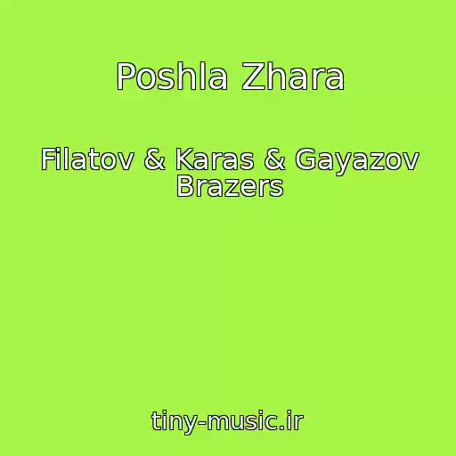 کاور آهنگ Poshla Zhara از Filatov & Karas & Gayazov Brazers