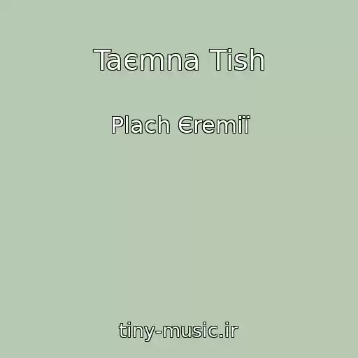 کاور آهنگ Taєmna Tish از Plach Єremії