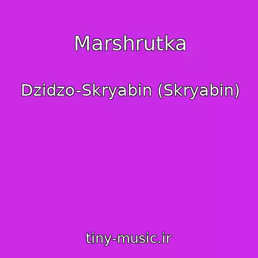کاور آهنگ Marshrutka از Dzіdzo-Skryabіn (Skryabin)