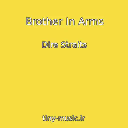 کاور آهنگ Brother In Arms از Dire Straits