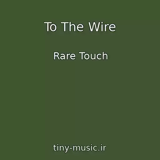کاور آهنگ To The Wire از Rare Touch