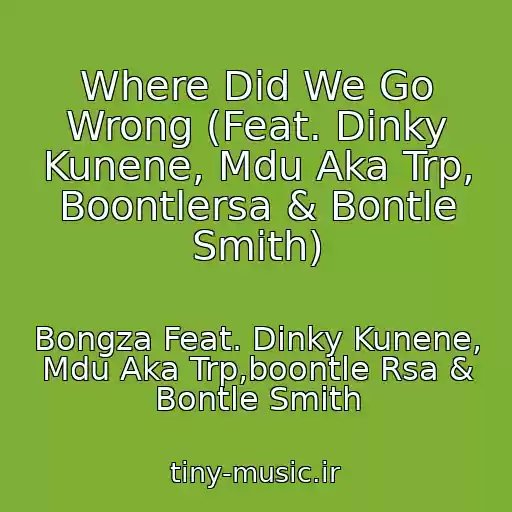 کاور آهنگ Where Did We Go Wrong (Feat. Dinky Kunene, Mdu Aka Trp, Boontlersa & Bontle Smith) از Bongza Feat. Dinky Kunene, Mdu Aka Trp,boontle Rsa & Bontle Smith
