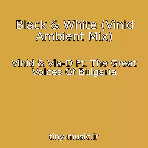 کاور آهنگ Black & White (Vinid Ambient Mix) از Vinid & Vla-D Ft. The Great Voices Of Bulgaria