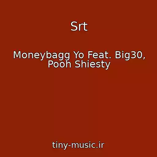 کاور آهنگ Srt از Moneybagg Yo Feat. Big30, Pooh Shiesty