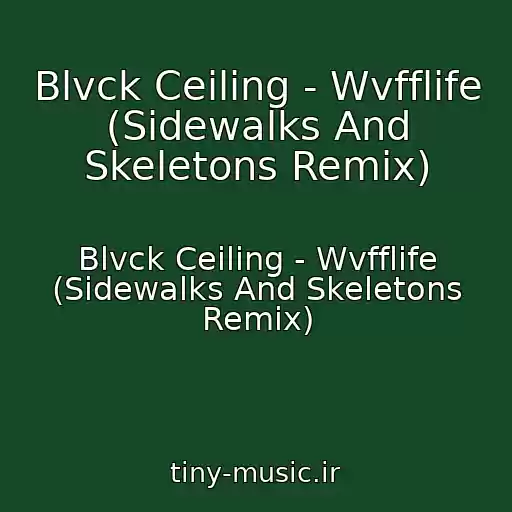 کاور آهنگ Blvck Ceiling - Wvfflife (Sidewalks And Skeletons Remix) از Blvck Ceiling - Wvfflife (Sidewalks And Skeletons Remix)