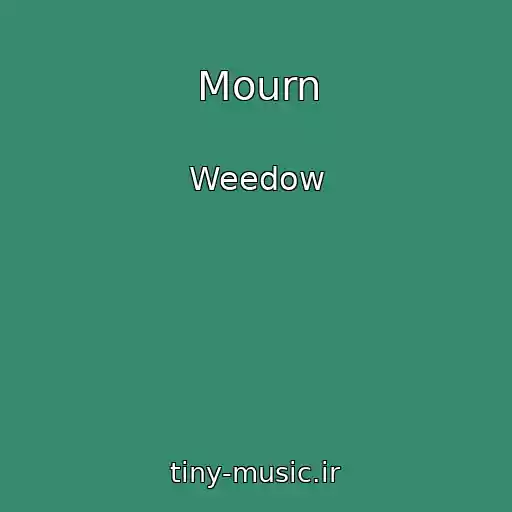 کاور آهنگ Mourn از Weedow