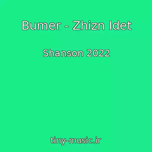 کاور آهنگ Bumer - Zhizn Idet از Shanson 2022