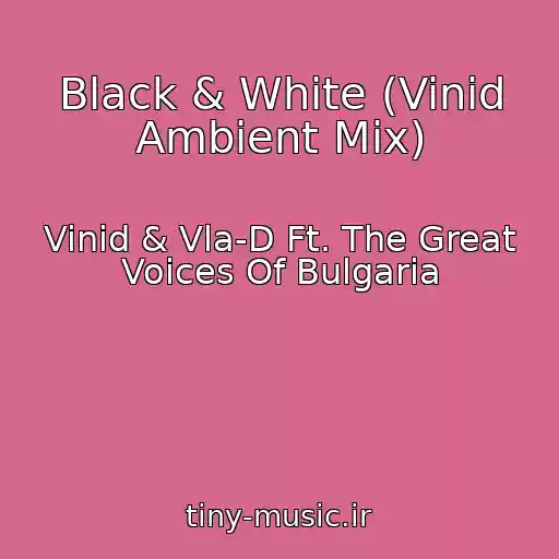 کاور آهنگ Black & White (Vinid Ambient Mix) از Vinid & Vla-D Ft. The Great Voices Of Bulgaria
