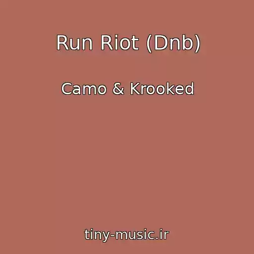 کاور آهنگ Run Riot (Dnb) از Camo & Krooked