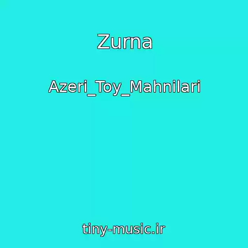 کاور آهنگ Zurna از Azeri_Toy_Mahnilari
