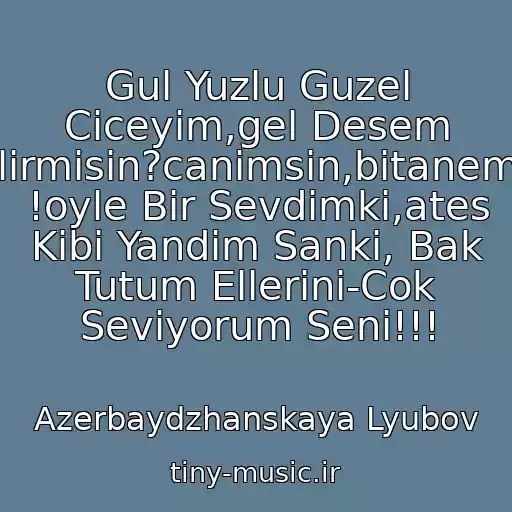 کاور آهنگ Gul Yuzlu Guzel Ciceyim,gel Desem Gelirmisin?canimsin,bitanemsin !oyle Bir Sevdimki,ates Kibi Yandim Sanki, Bak Tutum Ellerini-Cok Seviyorum Seni!!! از Azerbaydzhanskaya Lyubov