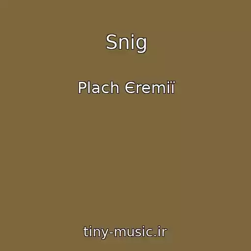 کاور آهنگ Snіg از Plach Єremії