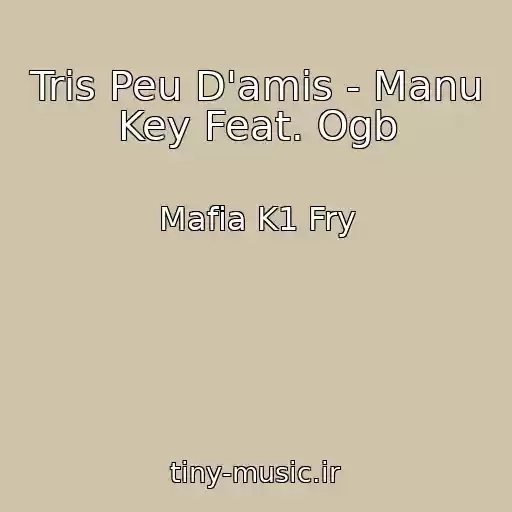 کاور آهنگ Tris Peu D'amis - Manu Key Feat. Ogb از Mafia K1 Fry
