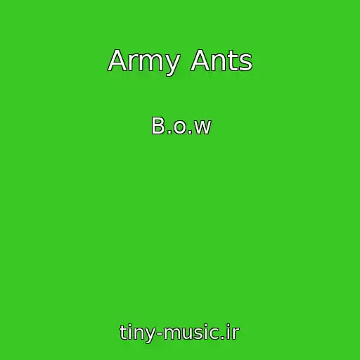 کاور آهنگ Army Ants از B.o.w