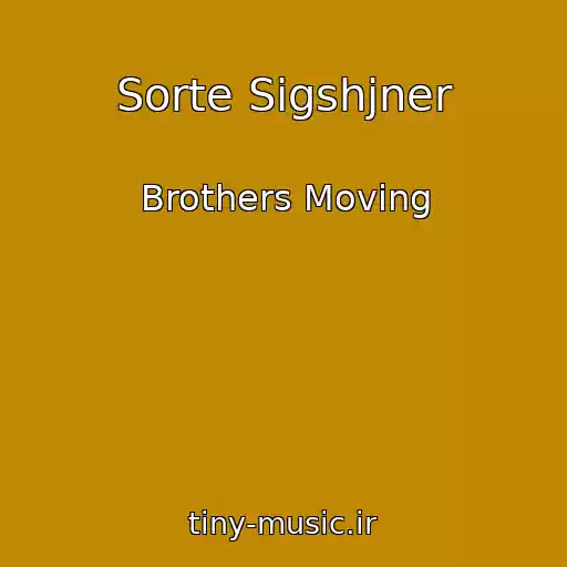 کاور آهنگ Sorte Sigshjner از Brothers Moving