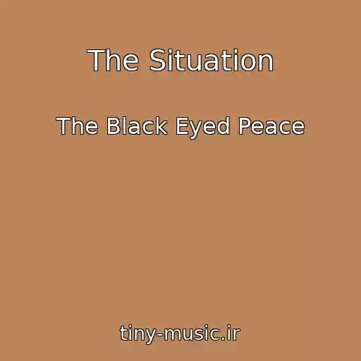 کاور آهنگ The Situation از The Black Eyed Peace