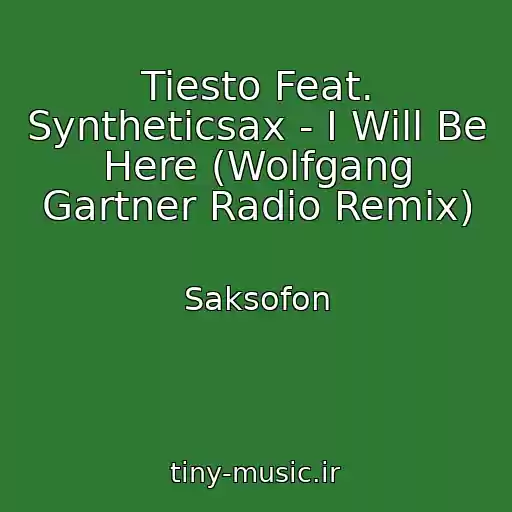 کاور آهنگ Tiesto Feat. Syntheticsax - I Will Be Here (Wolfgang Gartner Radio Remix) از Saksofon