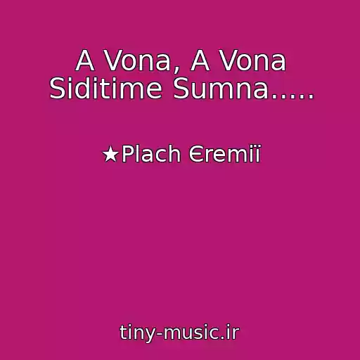 کاور آهنگ A Vona, A Vona Sidіtime Sumna..... از ★Plach Єremії