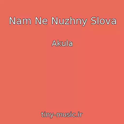 کاور آهنگ Nam Ne Nuzhny Slova از Akula