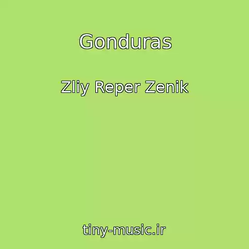 کاور آهنگ Gonduras از Zliy Reper Zenik