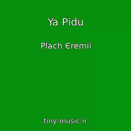 کاور آهنگ Ya Pіdu از Plach Єremії