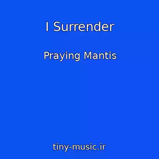 کاور آهنگ I Surrender از Praying Mantis