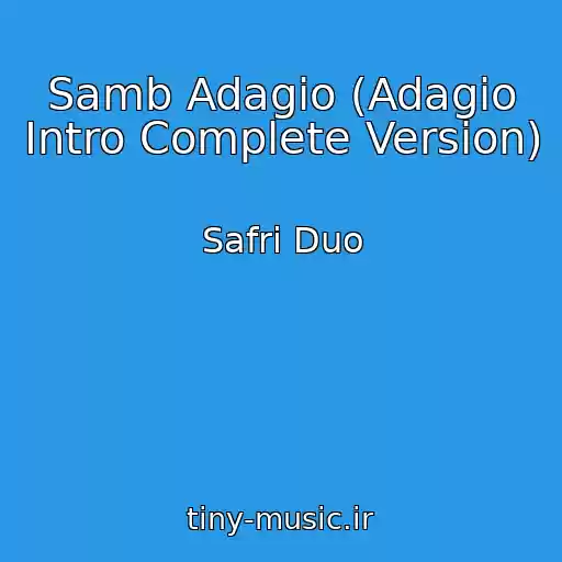 کاور آهنگ Samb Adagio (Adagio Intro Complete Version) از Safri Duo