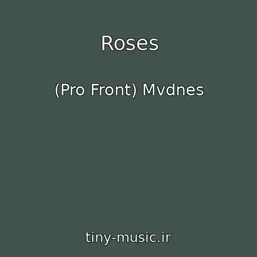 کاور آهنگ Roses از (Pro Front) Mvdnes