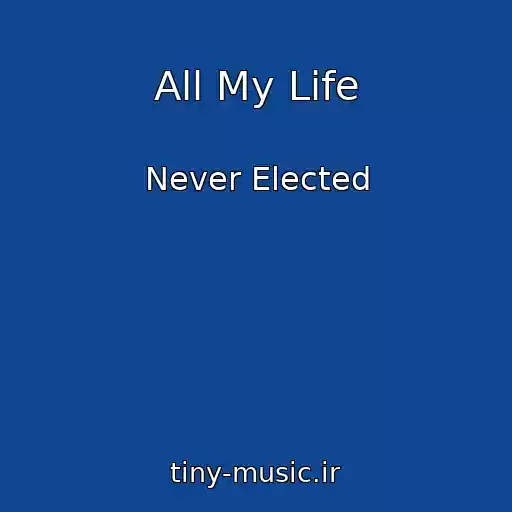 کاور آهنگ All My Life از Never Elected