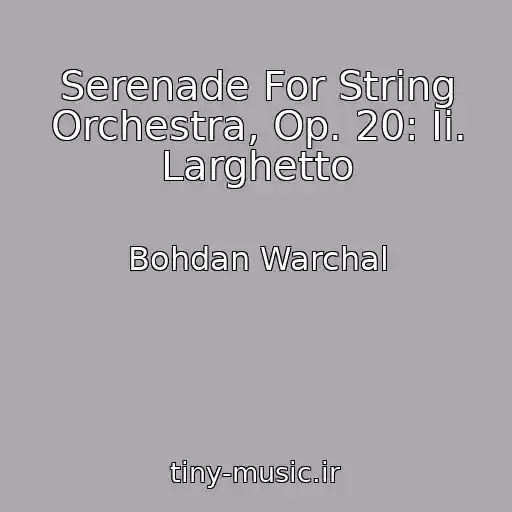 کاور آهنگ Serenade For String Orchestra, Op. 20: Ii. Larghetto از Bohdan Warchal