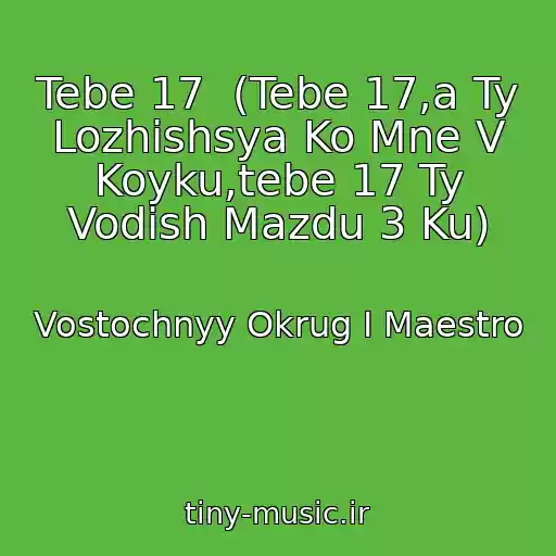کاور آهنگ Tebe 17  (Tebe 17,a Ty Lozhishsya Ko Mne V Koyku,tebe 17 Ty Vodish Mazdu 3 Ku) از Vostochnyy Okrug I Maestro