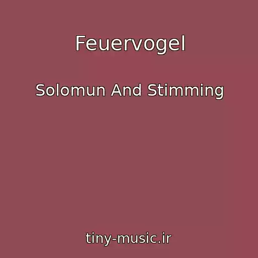 کاور آهنگ Feuervogel از Solomun And Stimming