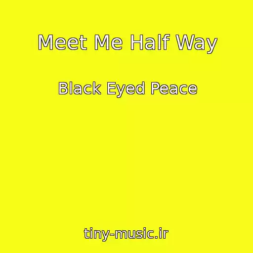 کاور آهنگ Meet Me Half Way از Black Eyed Peace