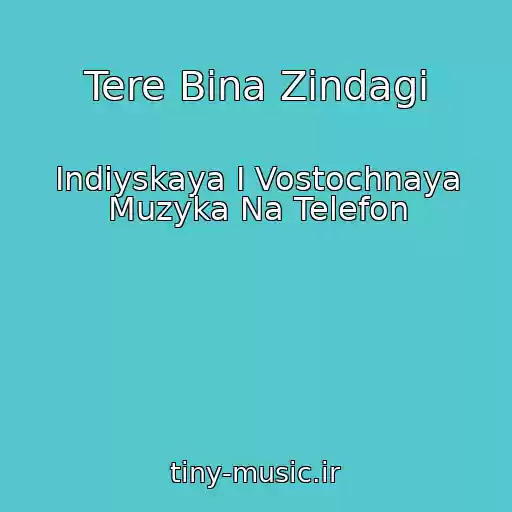 کاور آهنگ Tere Bina Zindagi از Indiyskaya I Vostochnaya Muzyka Na Telefon