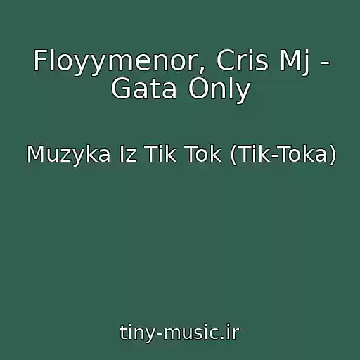 کاور آهنگ Floyymenor, Cris Mj - Gata Only از Muzyka Iz Tik Tok (Tik-Toka)