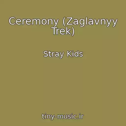 کاور آهنگ Ceremony (Zaglavnyy Trek) از Stray Kids