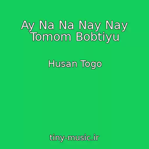 کاور آهنگ Ay Na Na Nay Nay Tomom Bobtiyu از Husan Togo