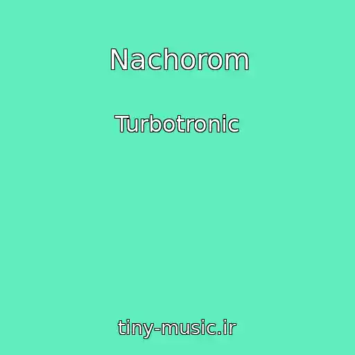 کاور آهنگ Nachorom از Turbotronic