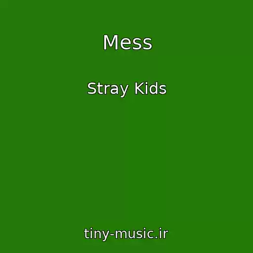 کاور آهنگ Mess از Stray Kids