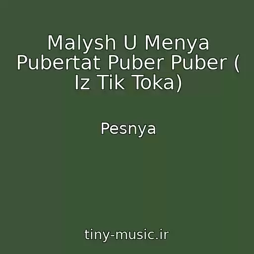 کاور آهنگ Malysh U Menya Pubertat Puber Puber ( Iz Tik Toka) از Pesnya
