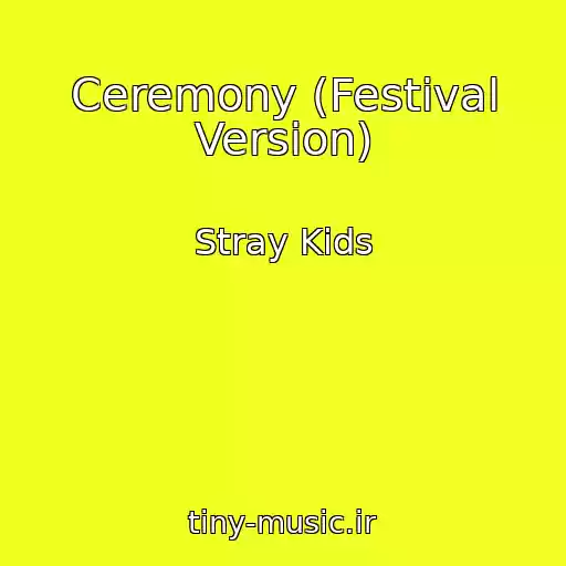 کاور آهنگ Ceremony (Festival Version) از Stray Kids
