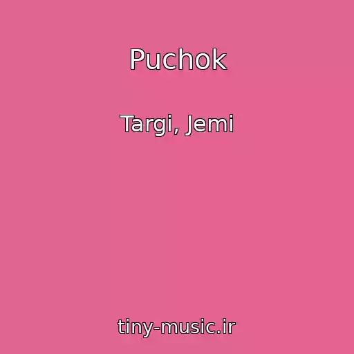 کاور آهنگ Puchok از Targi, Jemi