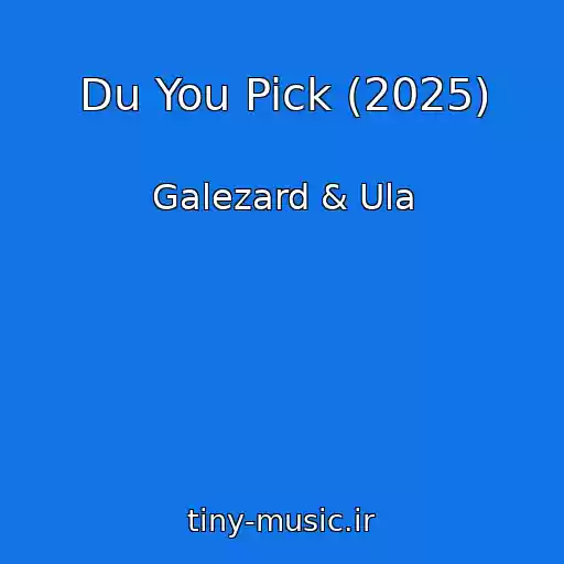کاور آهنگ Du You Pick (2025) از Galezard & Ula